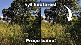 Oferta! Chácara de 4,6 hectares, sem casa, por 90 mil, em Vila Boa, Goiás! Venha conferir! 