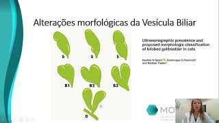 Vesicula biliar dupla e avaliacao das vias biliares pela ultrassonografia