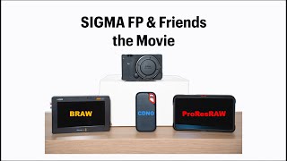 Sigma Fp Best Exposure Ep.5 Proresraw, Braw & Cdng - Best Settings, Footage & Workflow Tips