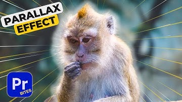 How to make a PARALLAX EFFECT in Premiere Pro