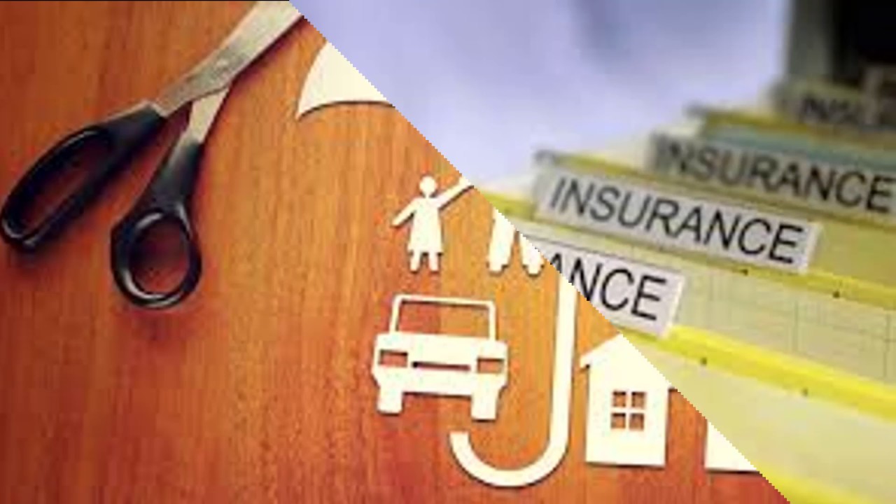 instant car insurance