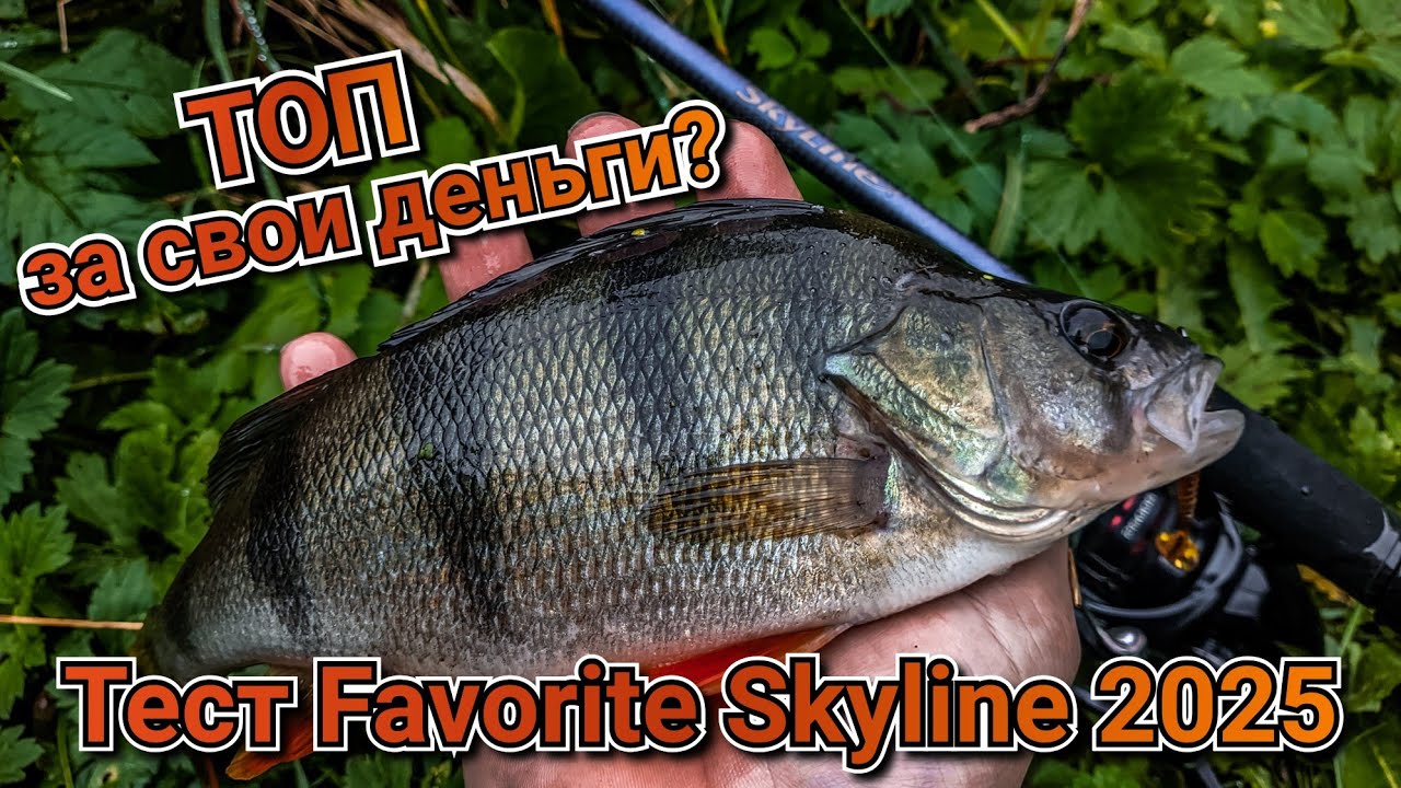 Первый тест Favorite skyline 2025 762l | Лучше CF Arion? | Как ловить окуня в конце осени на JigRig