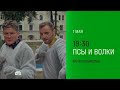 Анонс, Псы и Волки, 1 сезон, Премьера с 1 Мая в 19:30 на НТВ, 2026