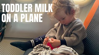 Airport Security & Taking Toddler Milk on an Airplane (4 Best Options + Tips)