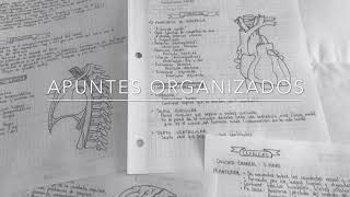 APUNTES ORGANIZADOS EN MEDICINA - ANATOMÍA. APUNTES ORGANIZADOS EN MEDICINA - ANATOMÍA.