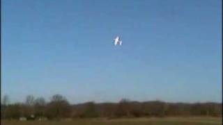 Acromaster second flight