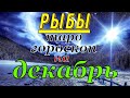 ГОРОСКОП РЫБЫ НА ДЕКАБРЬ.2019