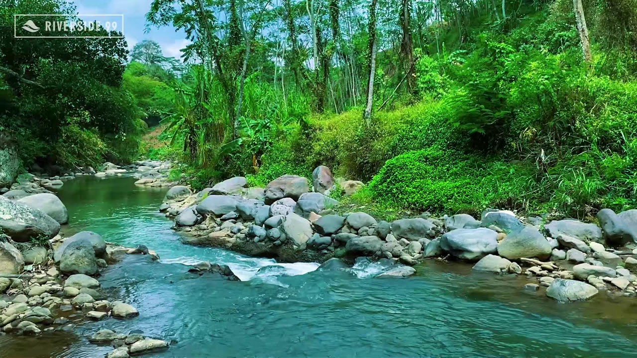 River Sounds for Sleeping 24/7 | Deep Relaxing Water Flow for Instant Night Sleep and relaxation #22