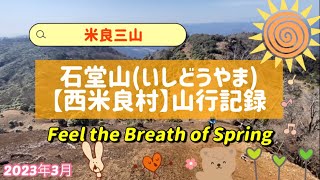 【米良三山】石堂山(いしどうやま)山行記録