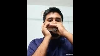 Kahin Door Jab Din Dhal Jaye। Harmonica cover #oldsong #mukesh #salilchoudhary 