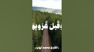 سورة طه | الشيخ محمد أيوب رحمه الله 🤍