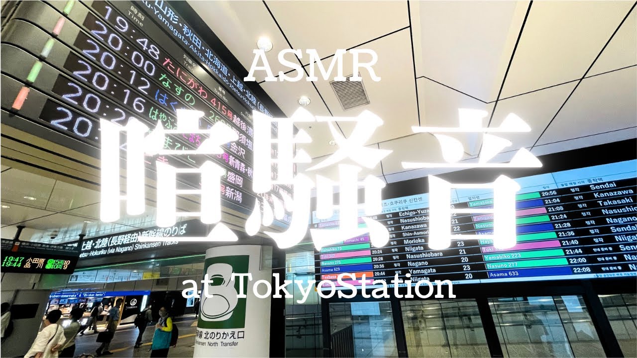 【作業用/睡眠用BGM】東京駅構内　帰宅ラッシュ時の音《50分》