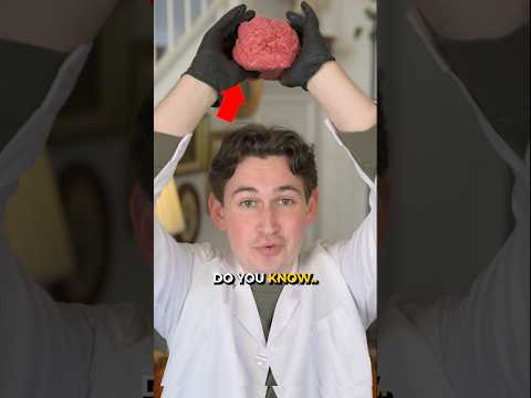 Thumbnail for What Human Brains Actually Feel Like 🧠