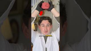 Celebrity What Human Brains Actually Feel Like 🧠 Profile