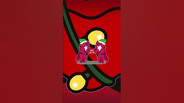 Alphabet Lore - M - All Versions. Infinity Zoom