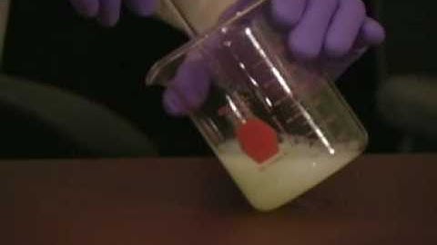 Egg in Hydrochloric Acid Demo