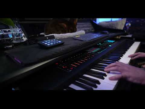 22 Minute Piano Improvisation/Twitch Highlight Excerpt