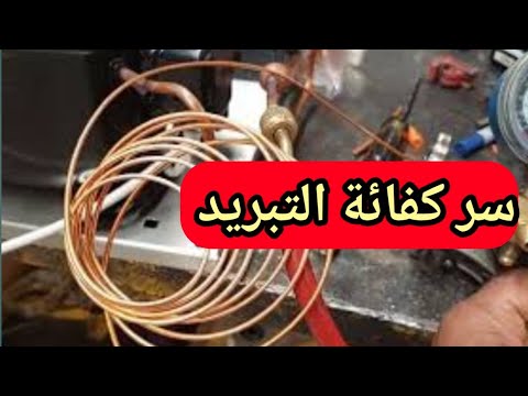 فيديو: كيف يتم حساب مؤشر الإعاقة whs؟