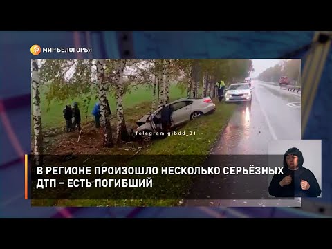 В регионе произошло несколько серьёзных ДТП – есть погибший