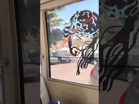 انا راس الموقف وراس القرار سوريا اكسبلور ترند الامارات العربية تيك توك لبنان لايك تصويري