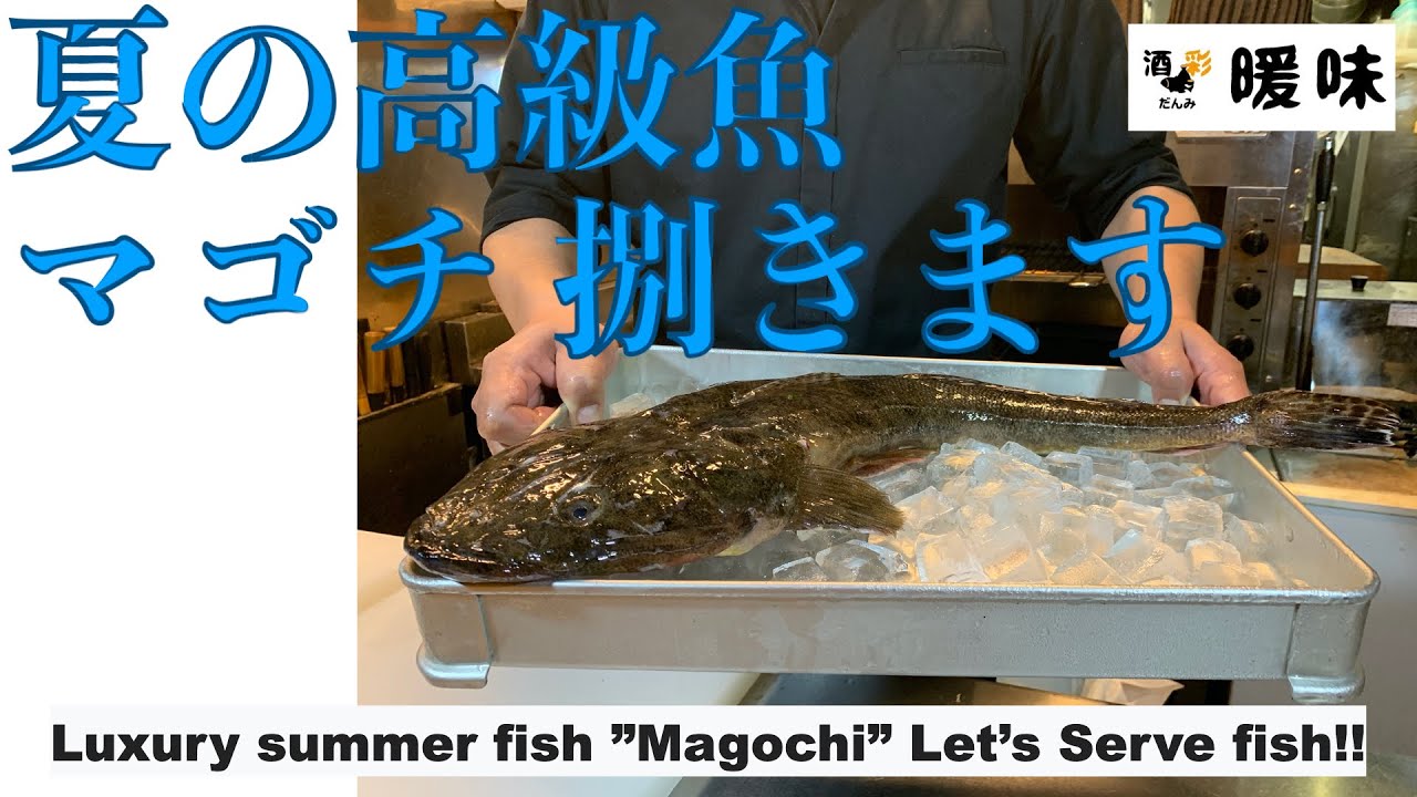 捌く 夏の高級魚 マゴチを捌く マゴチのさばき方 Youtube