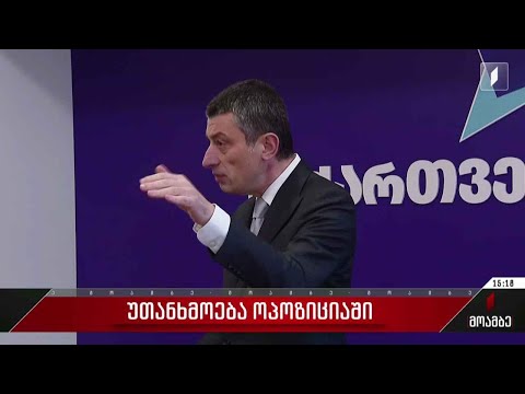 უთანხმოება ოპოზიციაში - გამოხმაურებები