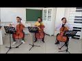Sarı Gelin Çello Trio