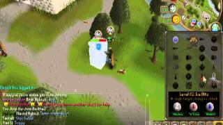 Spawnscape briding vid#2