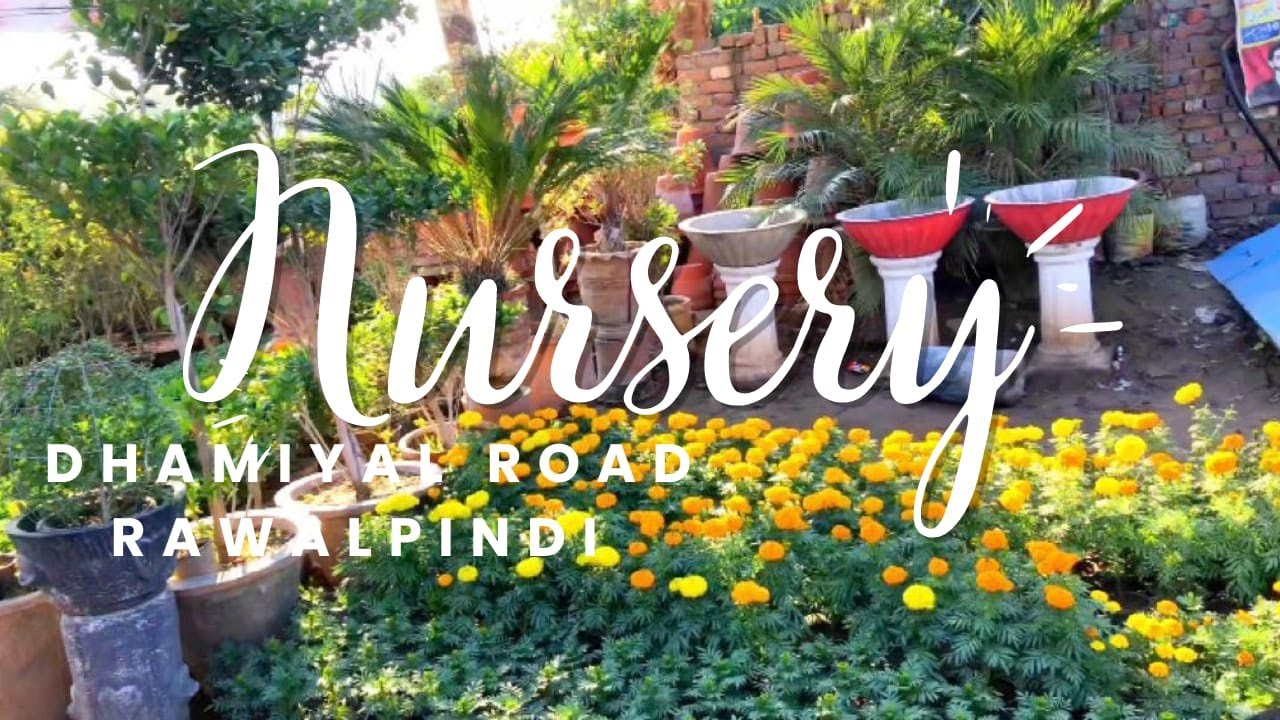 Nursery Dhamiyal Road Rawalpindi. YouTube