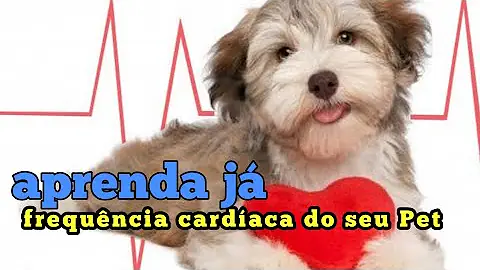 Como é realizada a verificação direta e indireta da pressão arterial?