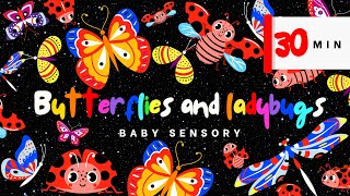 Fun Butterflies And Ladybugs Sensory Video: High Contrast Visual Video For Babies Brain Development