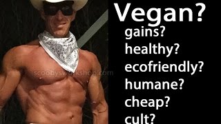 Should you be vegan? Live broadcast about vegetarian and vegan nutrition