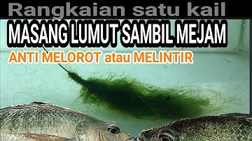RANGKAIAN PURBAKALA.. Pembaruan 2 Cara membuat Rangkaian Mancing nila satu mata kail
