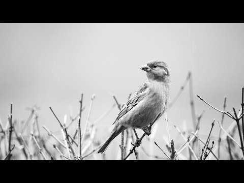 【As We Go】by Luminar | Artlist