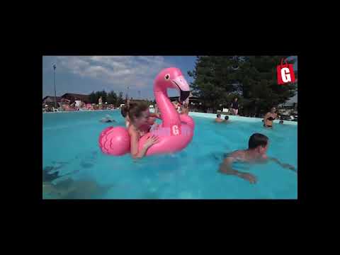 intex ride on flamingo