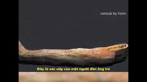 Quy trình ướp xác của người ai cập cổ đại