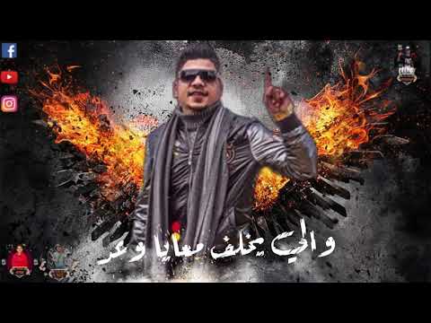 كلب رعد احمد موزه وحلقولو لسه منزلش