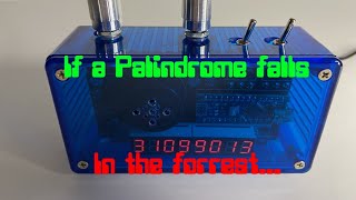 The Palindrome Finder