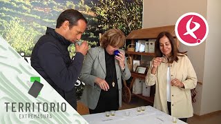 Extremadura y Portugal unidas por el aceite de oliva | Territorio Extremadura
