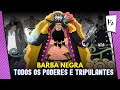 TODOS OS MEMBROS Da Tripulação DO BARBA NEGRA e Suas AKUMA NO MI - ENTENDA CADA PODER