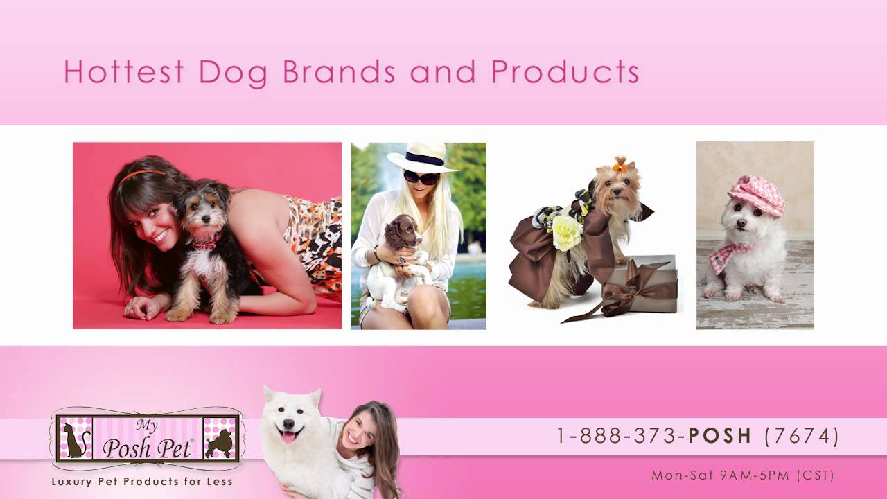 Cute Dog Costumes - My Posh Pet | Luxury Pet Products for Less | www.MyPoshPet.com