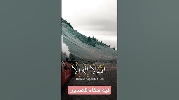 لا اله الا الله/اكتب ما تؤجر عليه #تلاوة_خاشعة #ايات_القرآن_الكريم #آيات