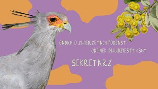 Gadam o Zwierzętach Podcast - Odcinek 28 - Sekretarz