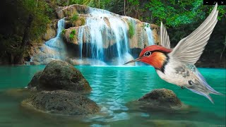 เสียงนกร้อง น้ำตก ดนตรีบรรเลง คลายเครียด หลับสบาย Waterfall bird sound relaxtion sleep screenshot 4