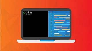 vim tutorial | v flag