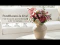 panblooms