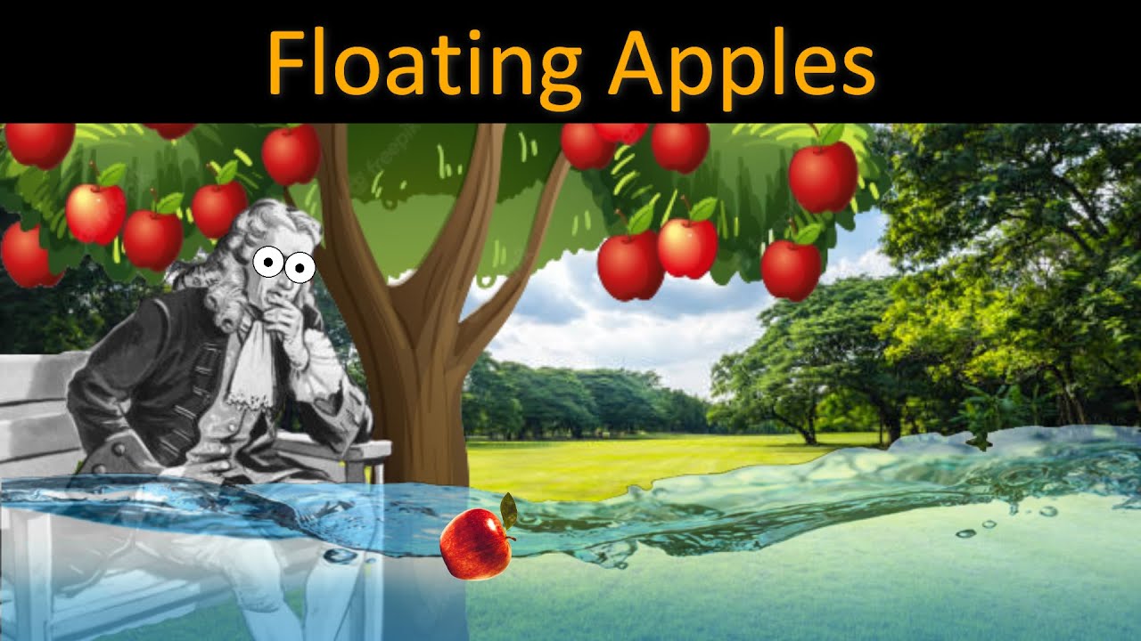 Why do apples FLOAT on water - YouTube
