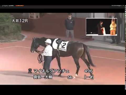 【大井競馬】マイルグランプリ2018　勝利騎手インタビューと表彰式