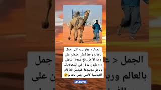 ستوريات توماس شيلبي_ ستوريات و اقوال الجوكر / ستوريات قصص واقعيه