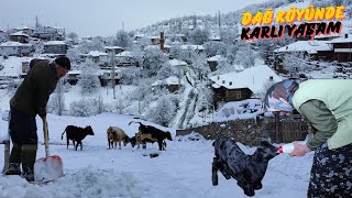 Anadoluda Kış Karlar Altında Bir Sabah Belgesel